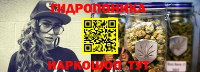 сатива Нальчик
