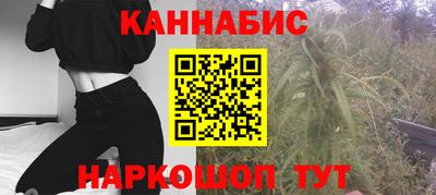 сатива Нальчик