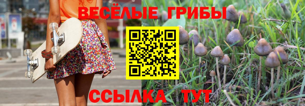 Урус-Мартан  Галлюциногенные грибы MAGIC MUSHROOMS  Псилоцибиновые грибы ЛСД  Вход с VPN 